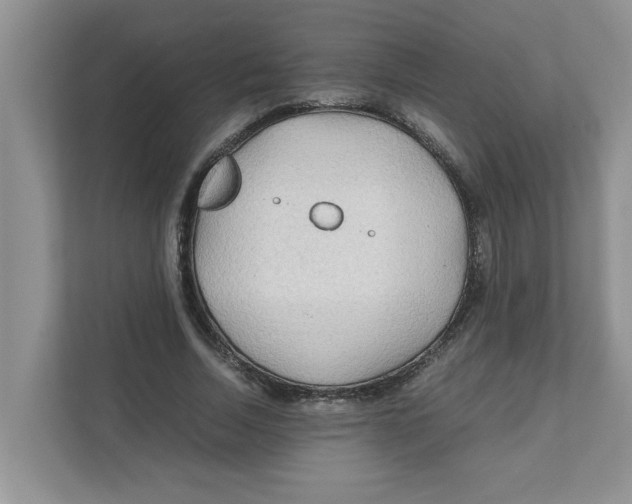 X0000110930730200907161538