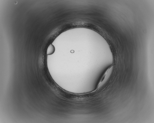 X0000110930735200907161539