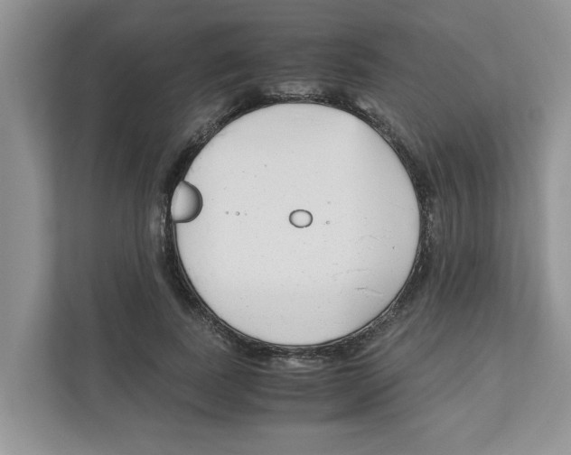 X0000110930739200907161539