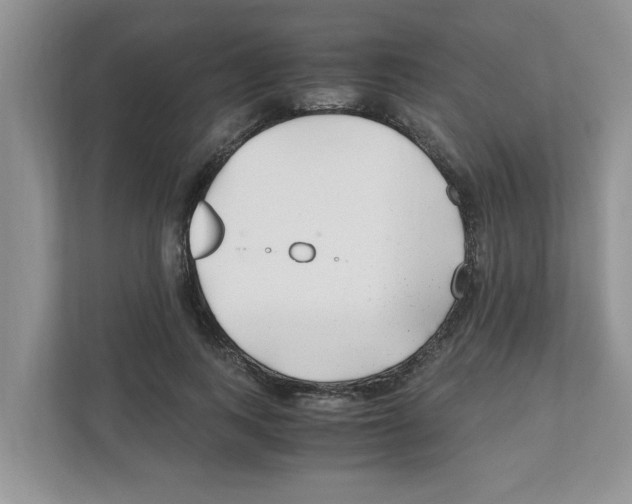X0000110930743200907161539