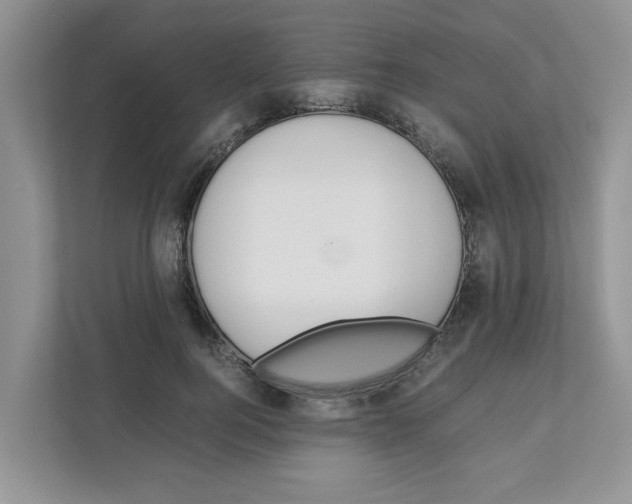 X0000110930744200907161539