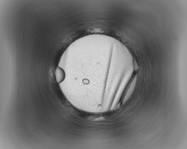 X0000110930747200907161539