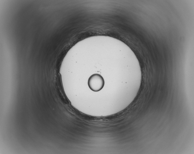 X0000110930752200907161539