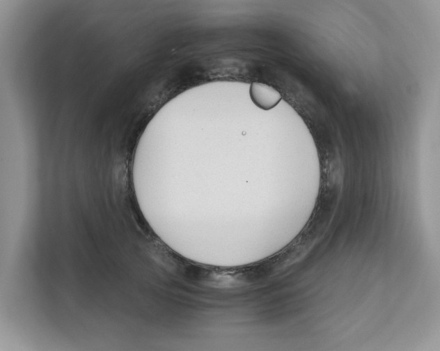 X0000110930753200907161539