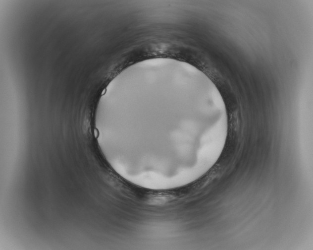 X0000110930754200907161539