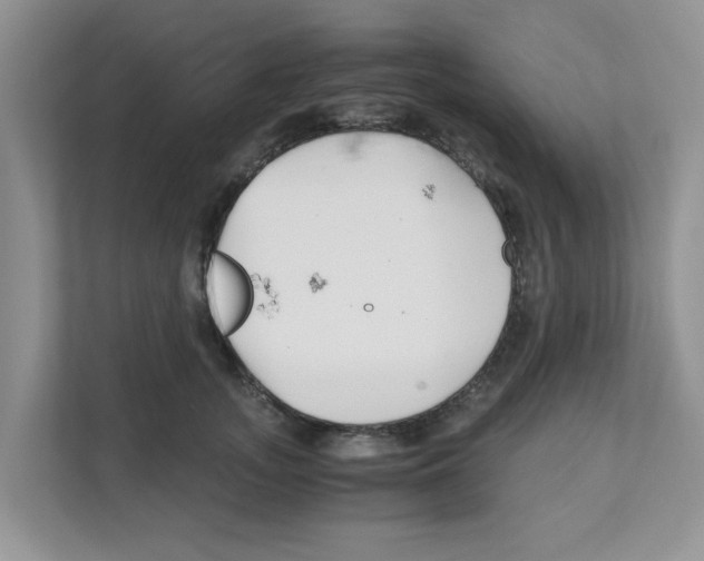 X0000110930755200907161539