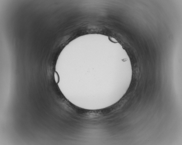 X0000110930756200907161539