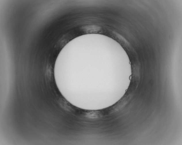X0000110930761200907161539