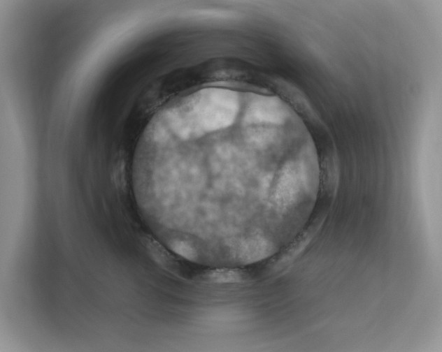 X0000110930762200907161539