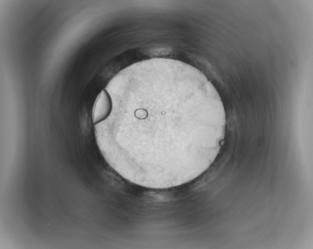 X0000110930763200907161539
