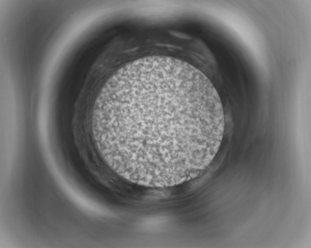 X0000110930765200907161539