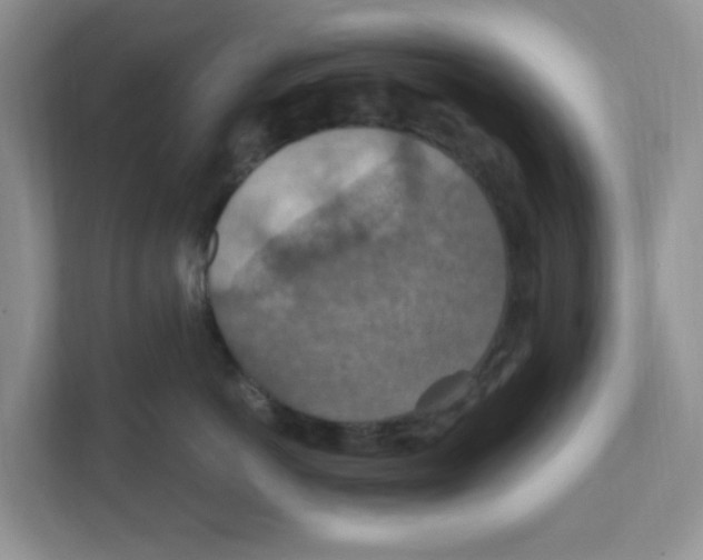 X0000110930766200907161539