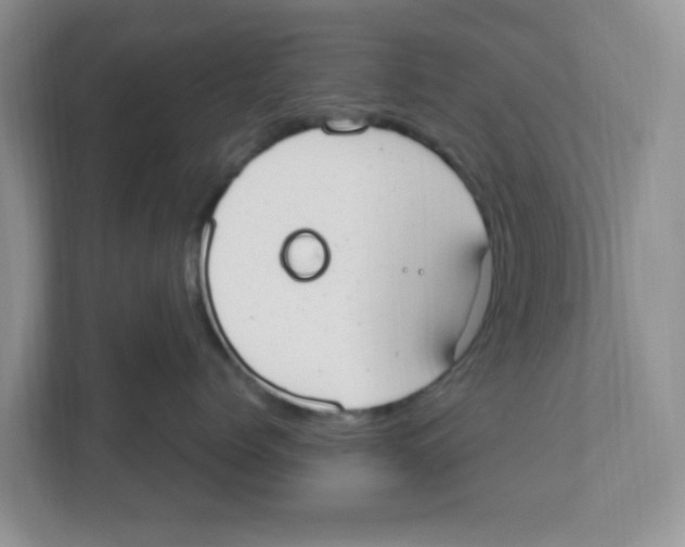 X0000110930768200907161539