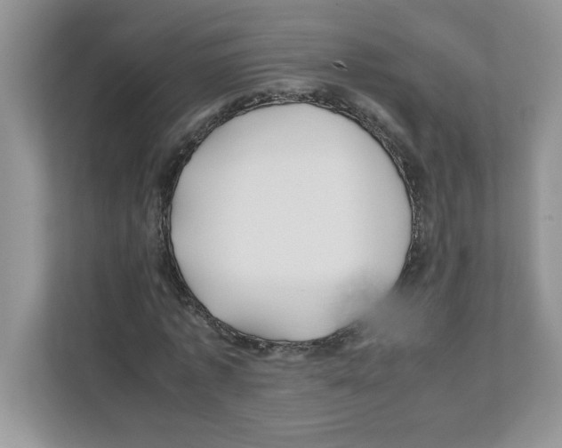 X0000110930773200907161538
