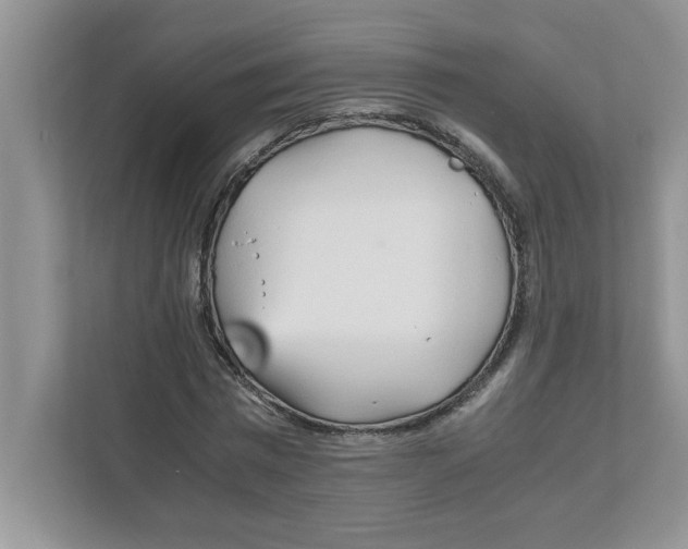 X0000110930777200907161538