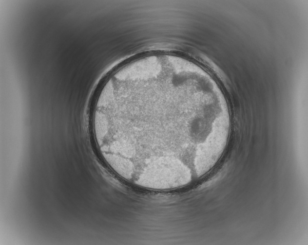 X0000110930779200907161538