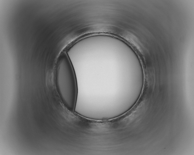 X0000110930781200907161538