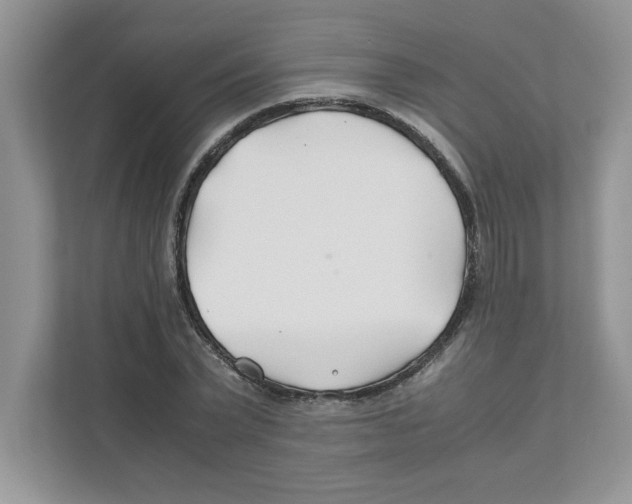 X0000110930783200907161538
