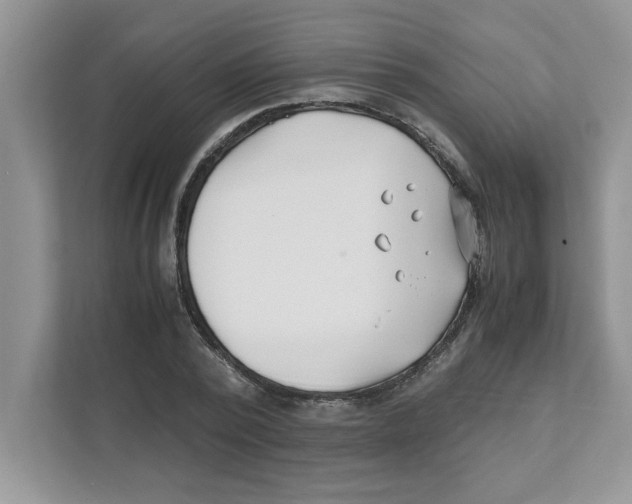X0000110930784200907161538
