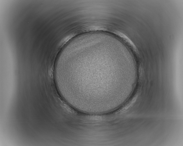 X0000110930785200907161538