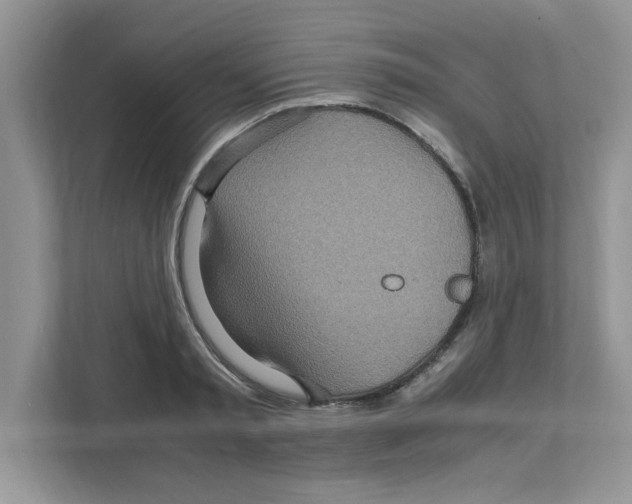 X0000110930797200907161538
