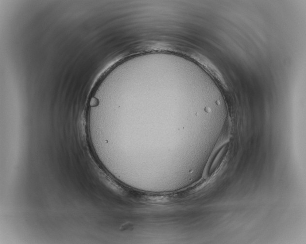 X0000110930798200907161538
