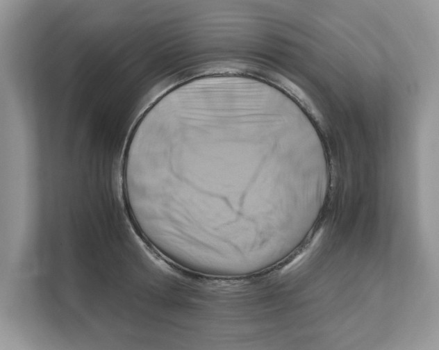 X0000110930802200907161538