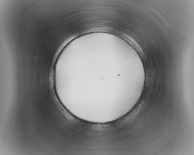 X0000110930804200907161538