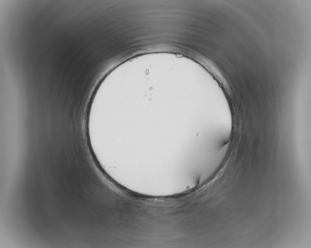 X0000110930805200907161538