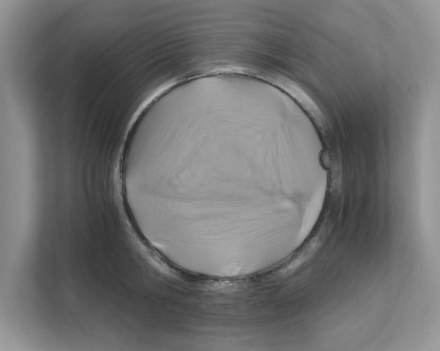 X0000110930806200907161538