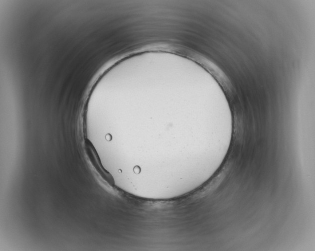 X0000110930808200907161538