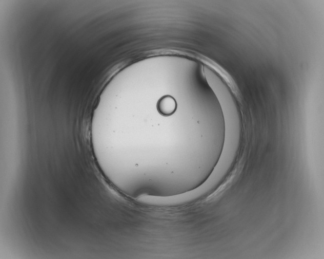 X0000110930809200907161538
