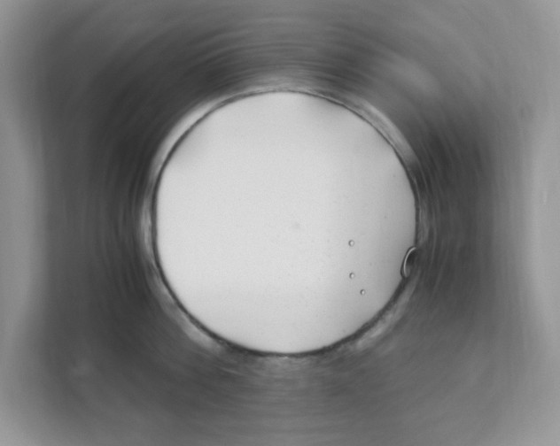 X0000110930812200907161538