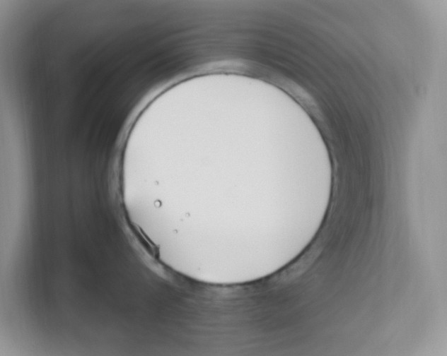 X0000110930816200907161538