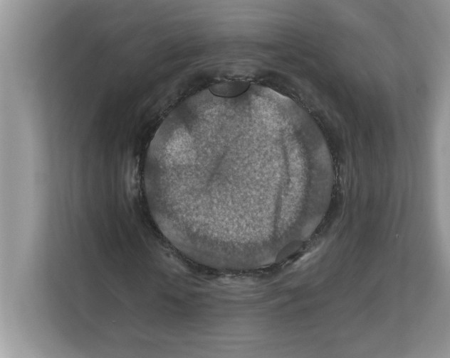 X0000110930818200907161537