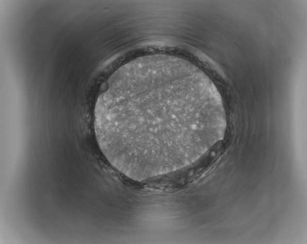 X0000110930822200907161537