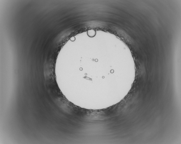 X0000110930824200907161537