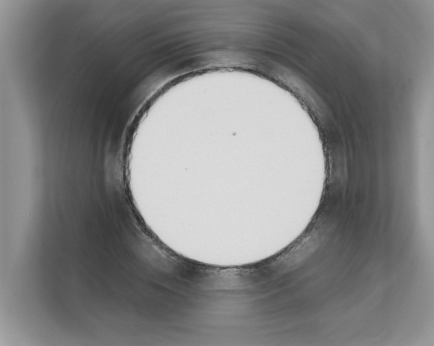 X0000110930828200907161537
