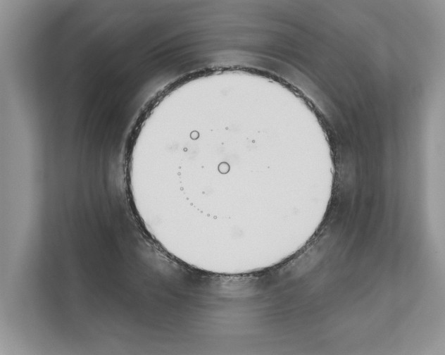 X0000110930832200907161537