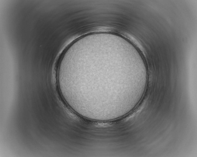 X0000110930835200907161537