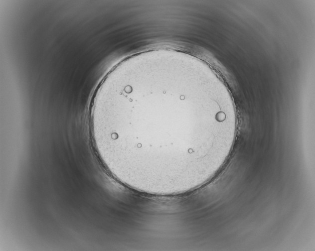 X0000110930836200907161537
