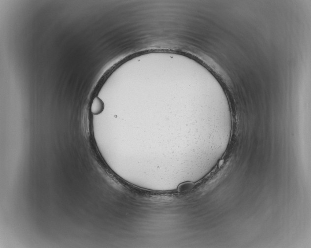 X0000110930838200907161537