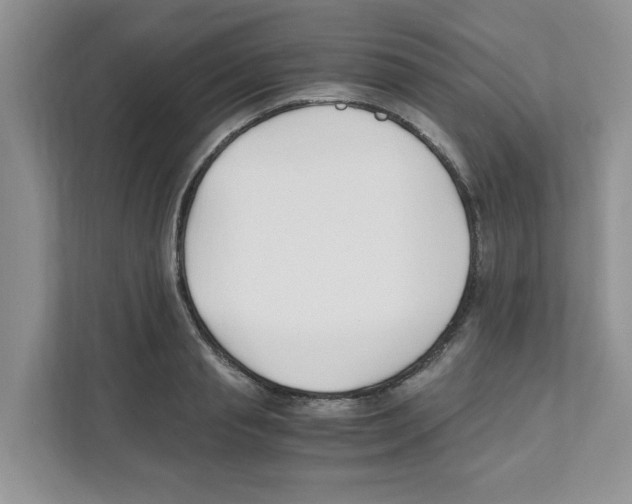 X0000110930845200907161537