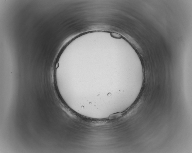 X0000110930846200907161537