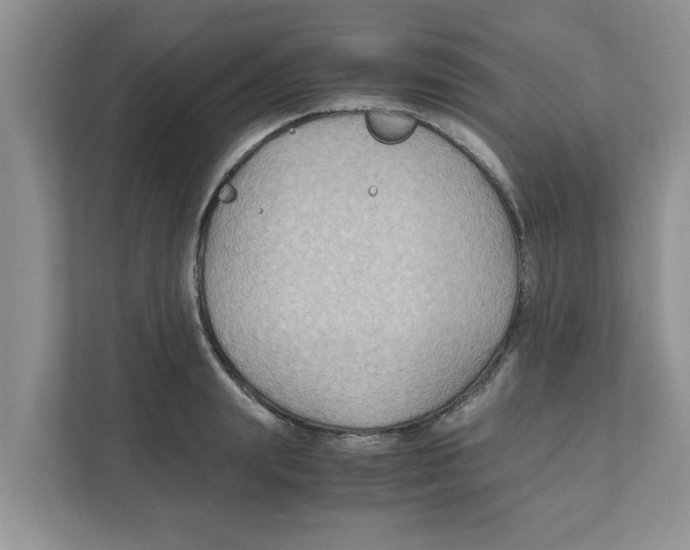 X0000110930847200907161537
