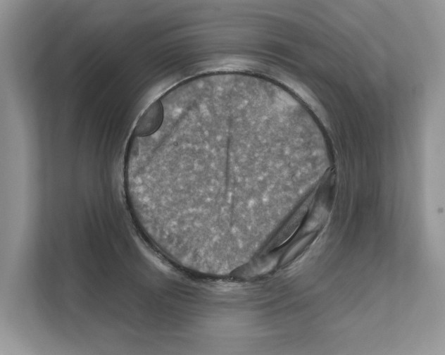 X0000110930850200907161538