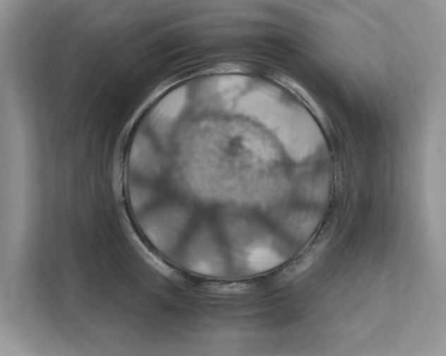 X0000110930851200907161538