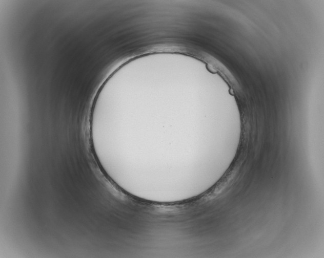 X0000110930852200907161538