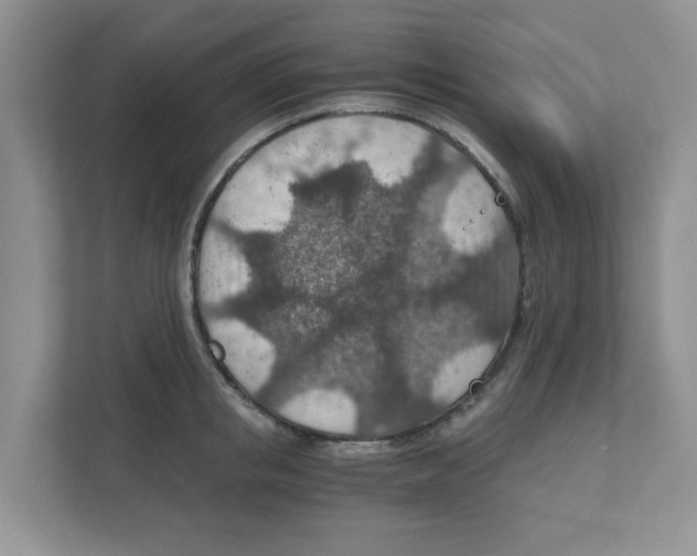 X0000110930853200907161538
