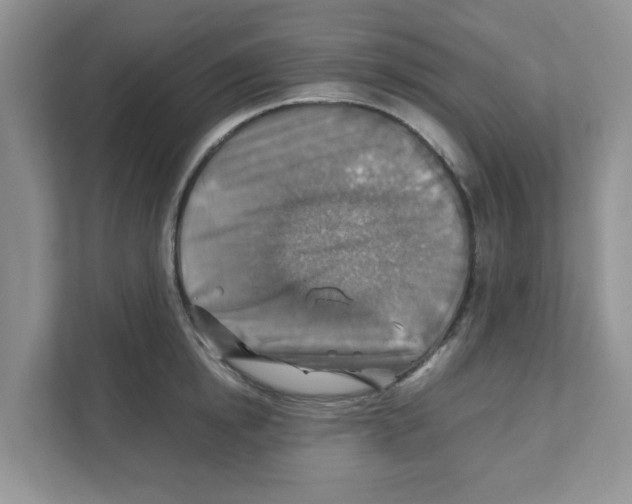 X0000110930854200907161538